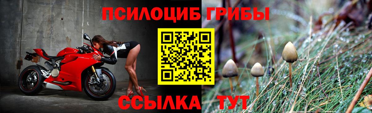 Псилоцибиновые грибы мицелий  Вход с VPN  Барабинск  Галлюциногенные грибы Psilocybine cubensis 